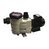 KRIPSOL S2 MODEL HAVUZ POMPASI 0,75 HP MONOFAZE